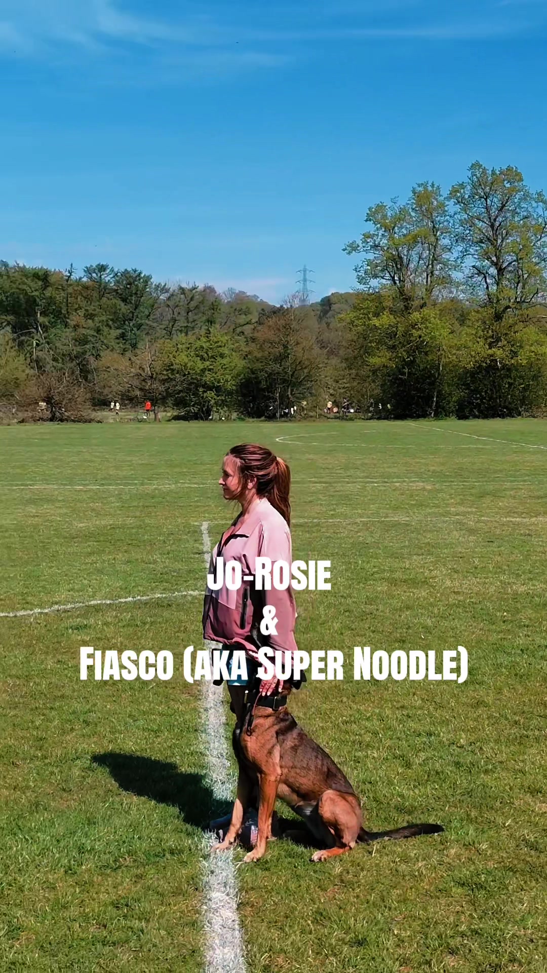 @jorosieh