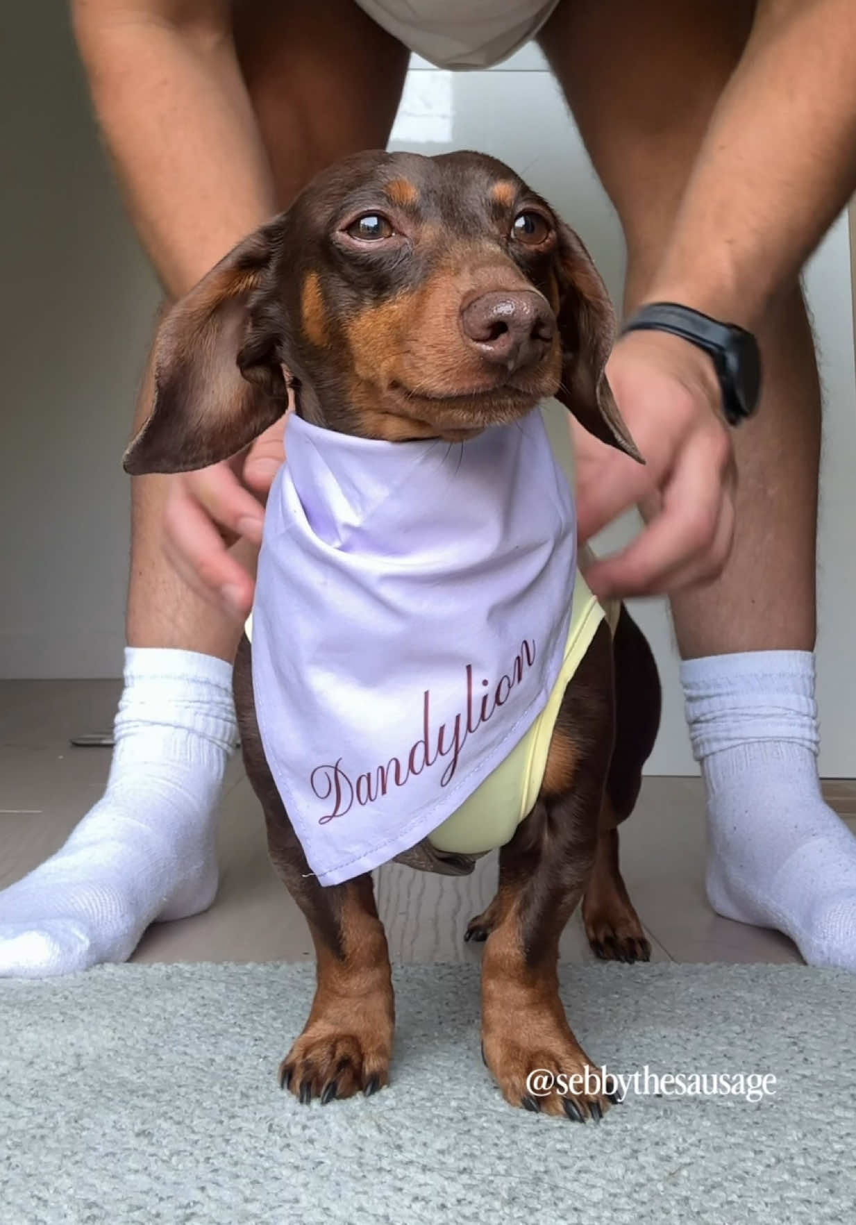 @sebbythesausage