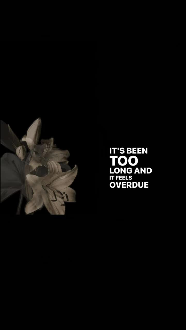 @LyricsForU🎧