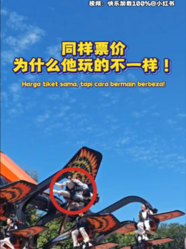 @中国报