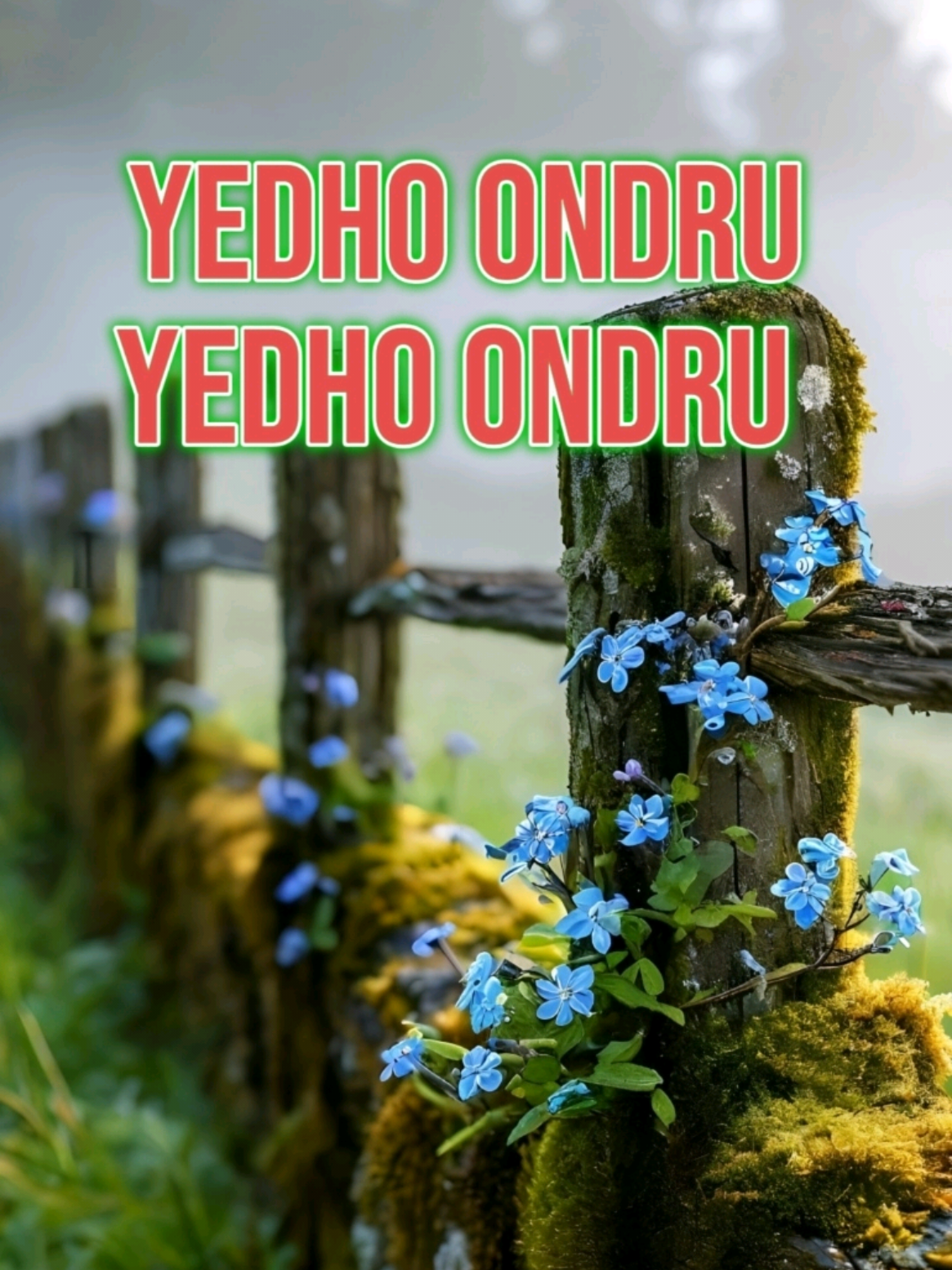 @Maari_lyrics😎