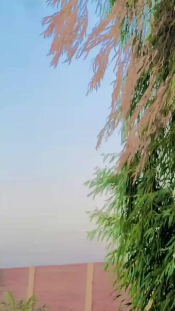 @bilawal7.0