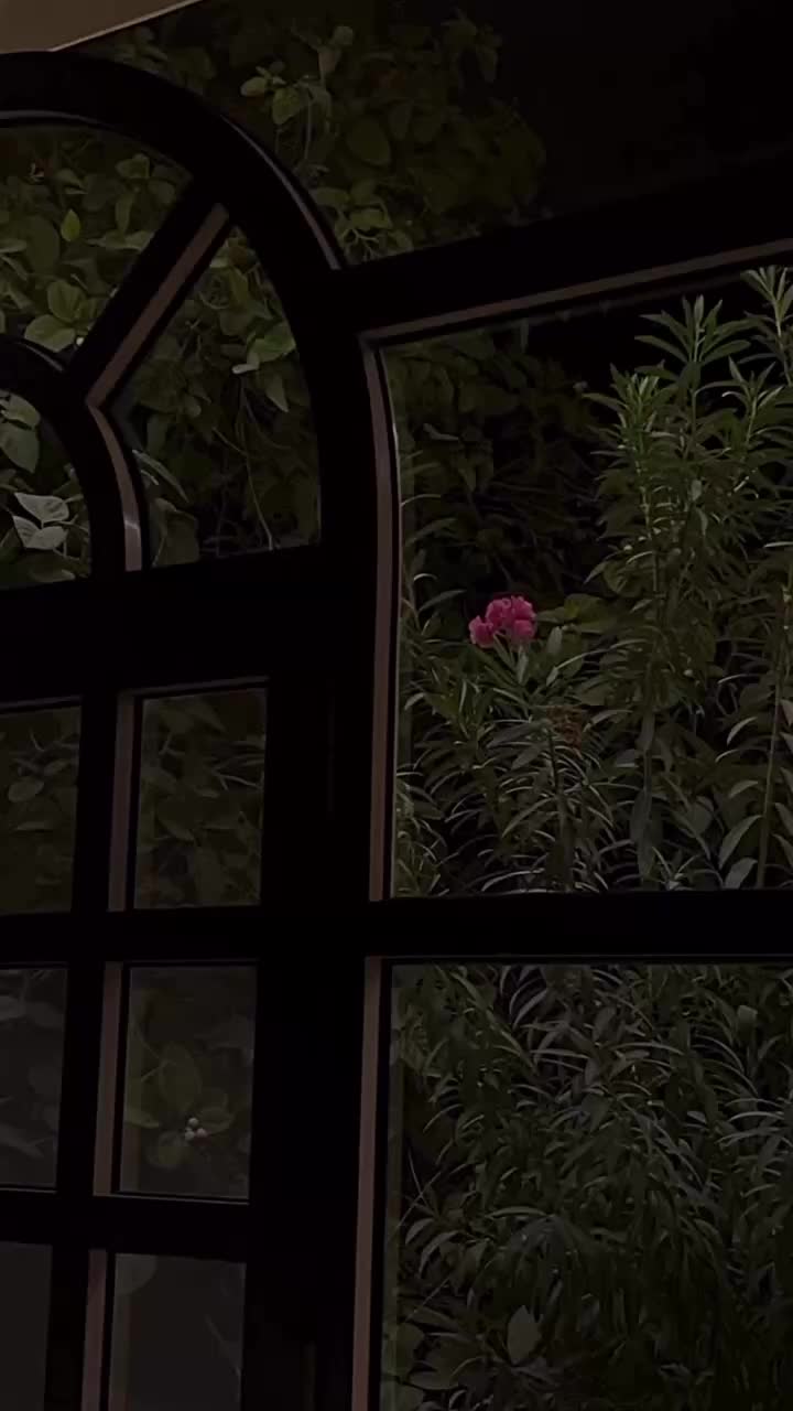 @نسا المومنات