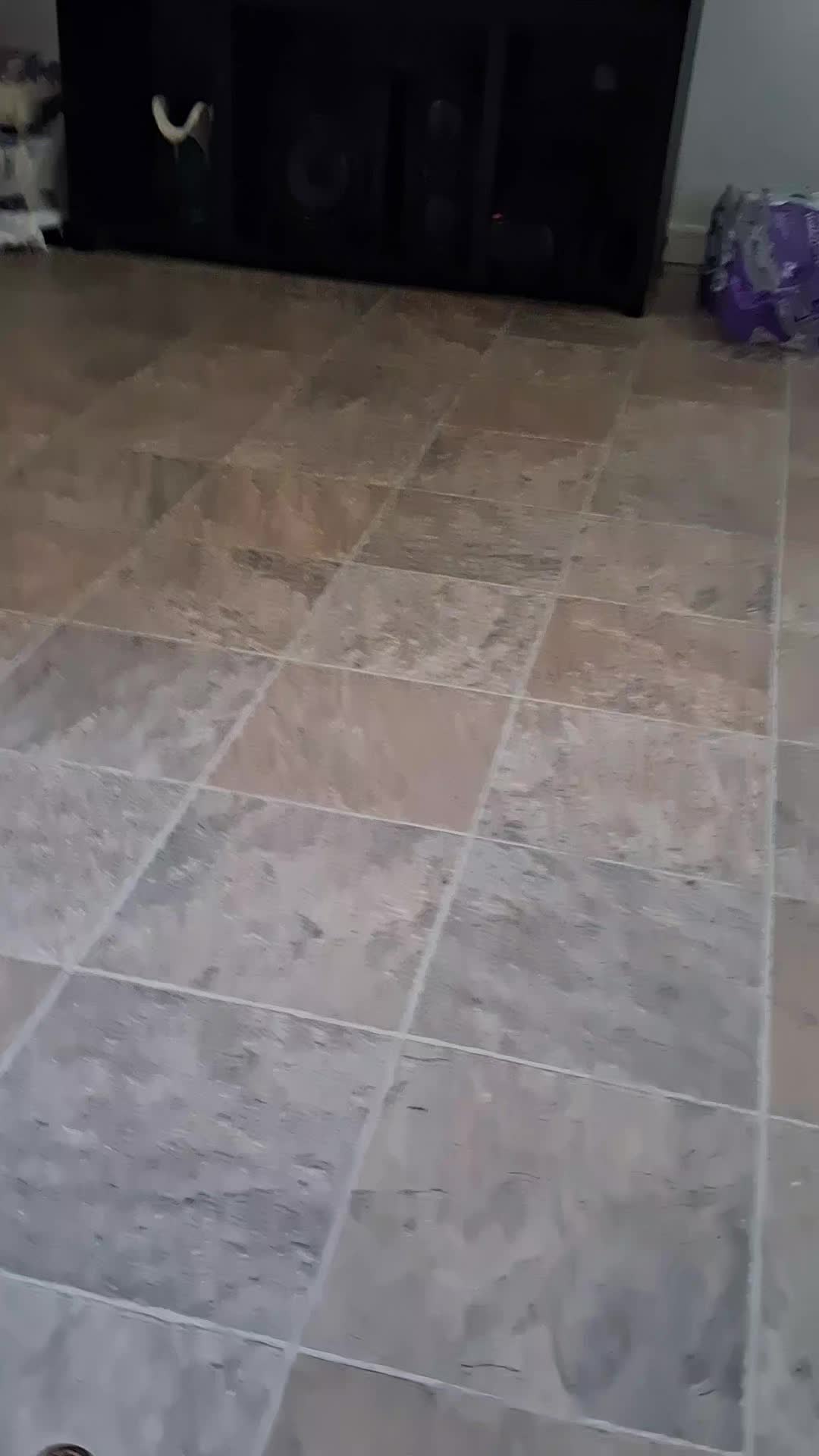 @noelito2317🦎