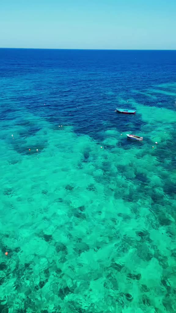 @VisitGozo