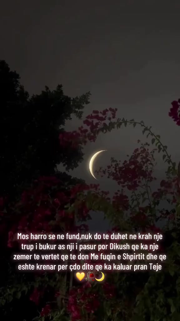 @🌸Zesshkanjaa🌸