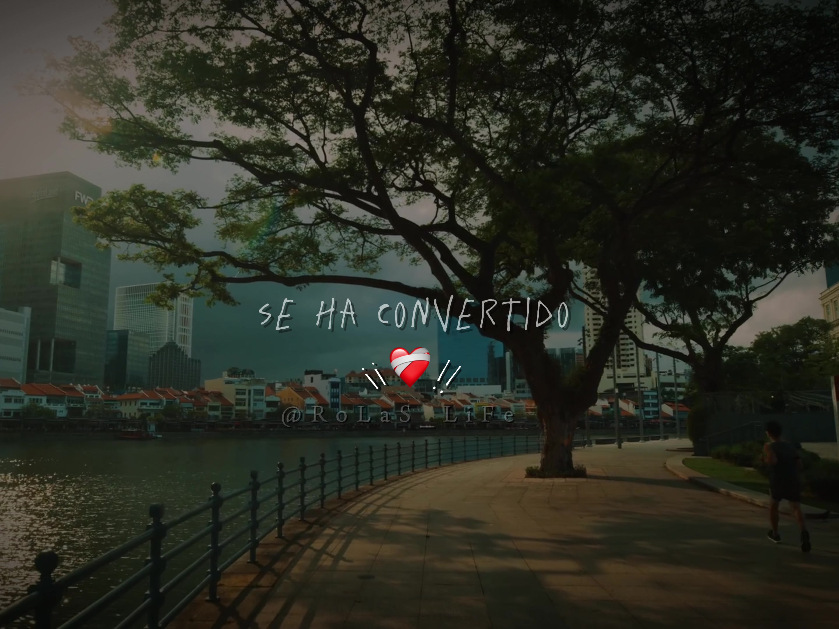 @𝐑𝐨𝐥𝐚𝐬 𝐥𝐢𝐟𝐞