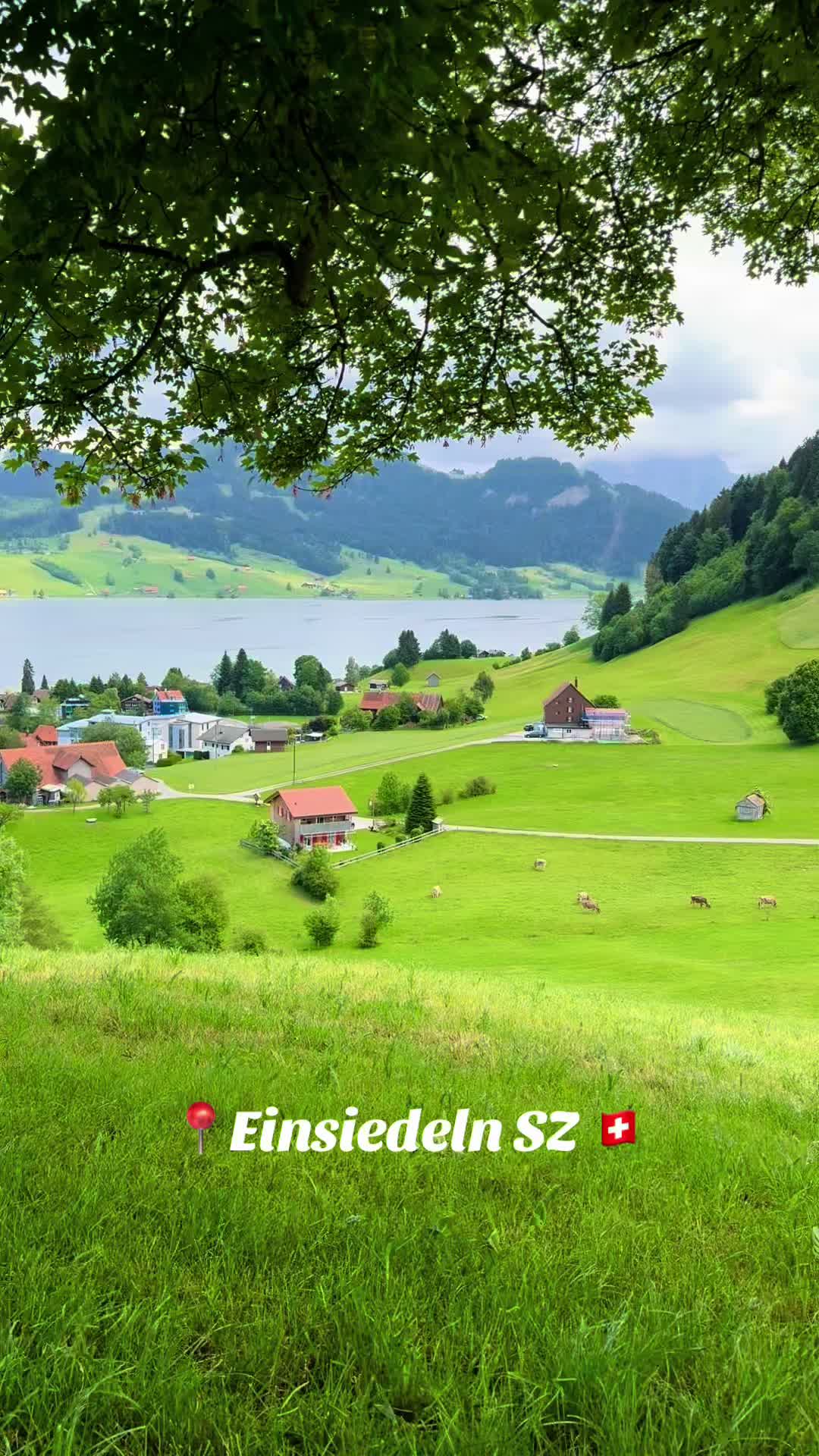 @swiss_alps