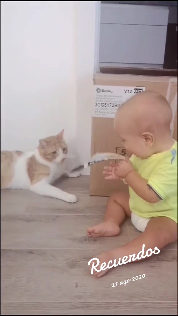 @FamilyTube