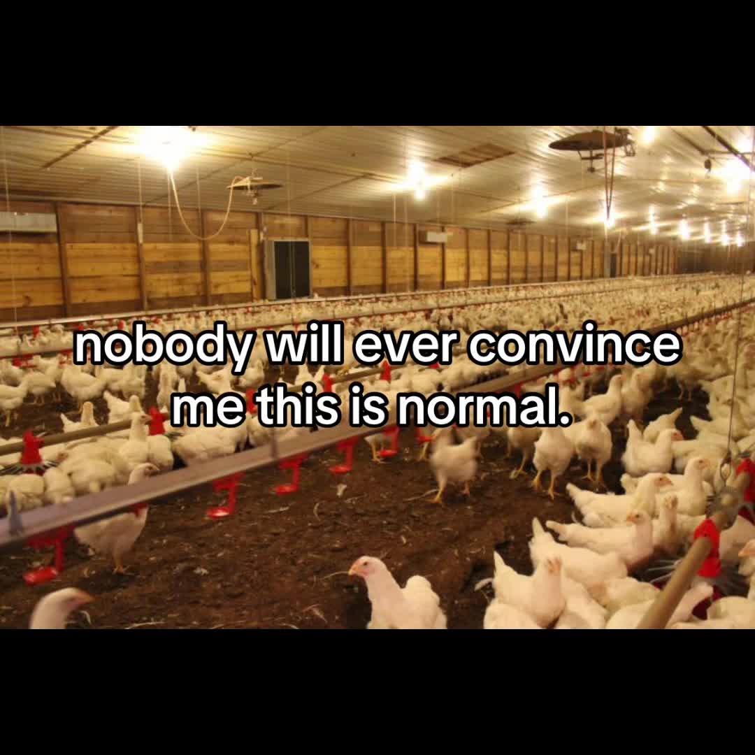 @farmerssdaily