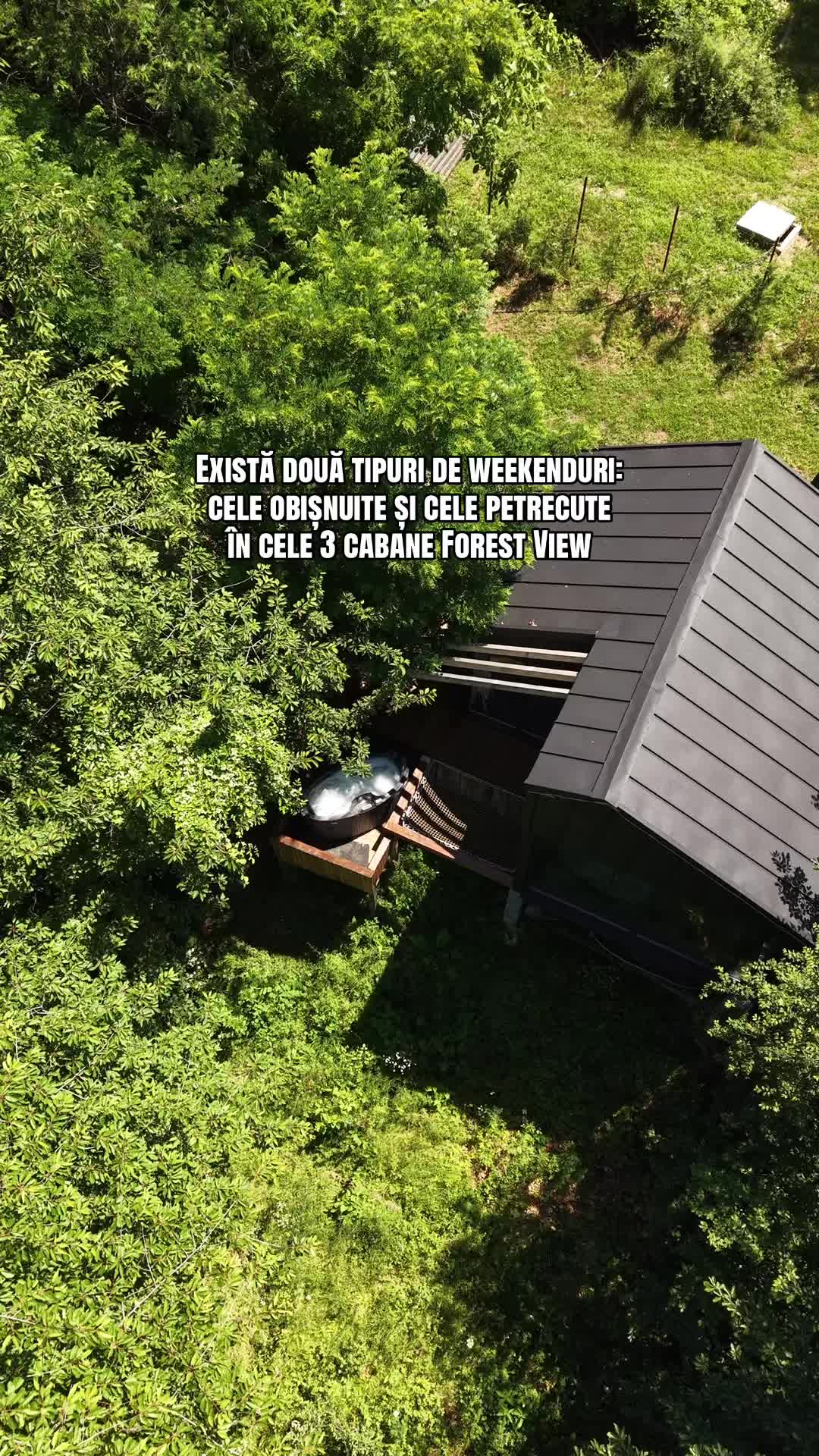 @Forest View Valcea