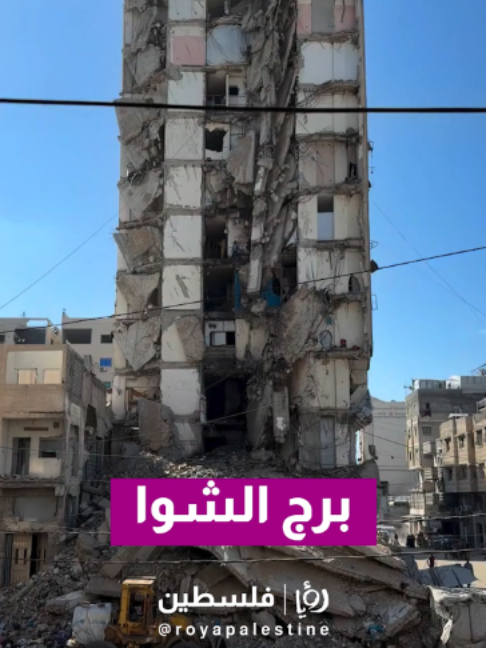 @Royapalestine رؤيا فلسطين