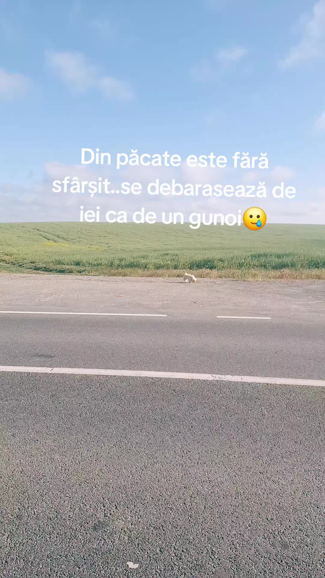 @Rali