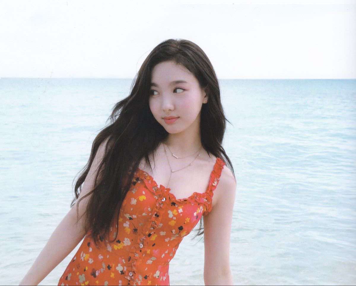 @ινу 🐰