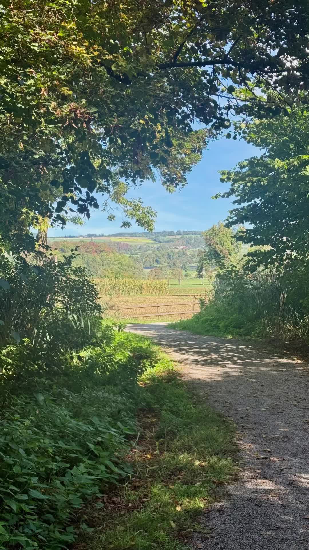 @Mari Fagà-Magrané