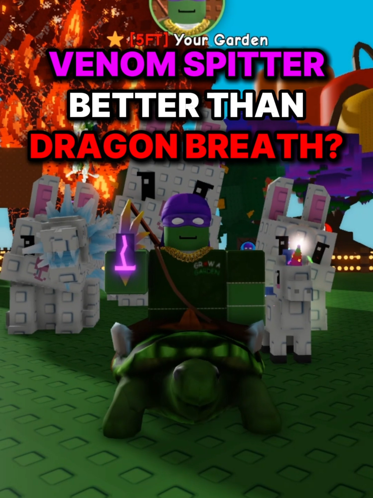 @YAN