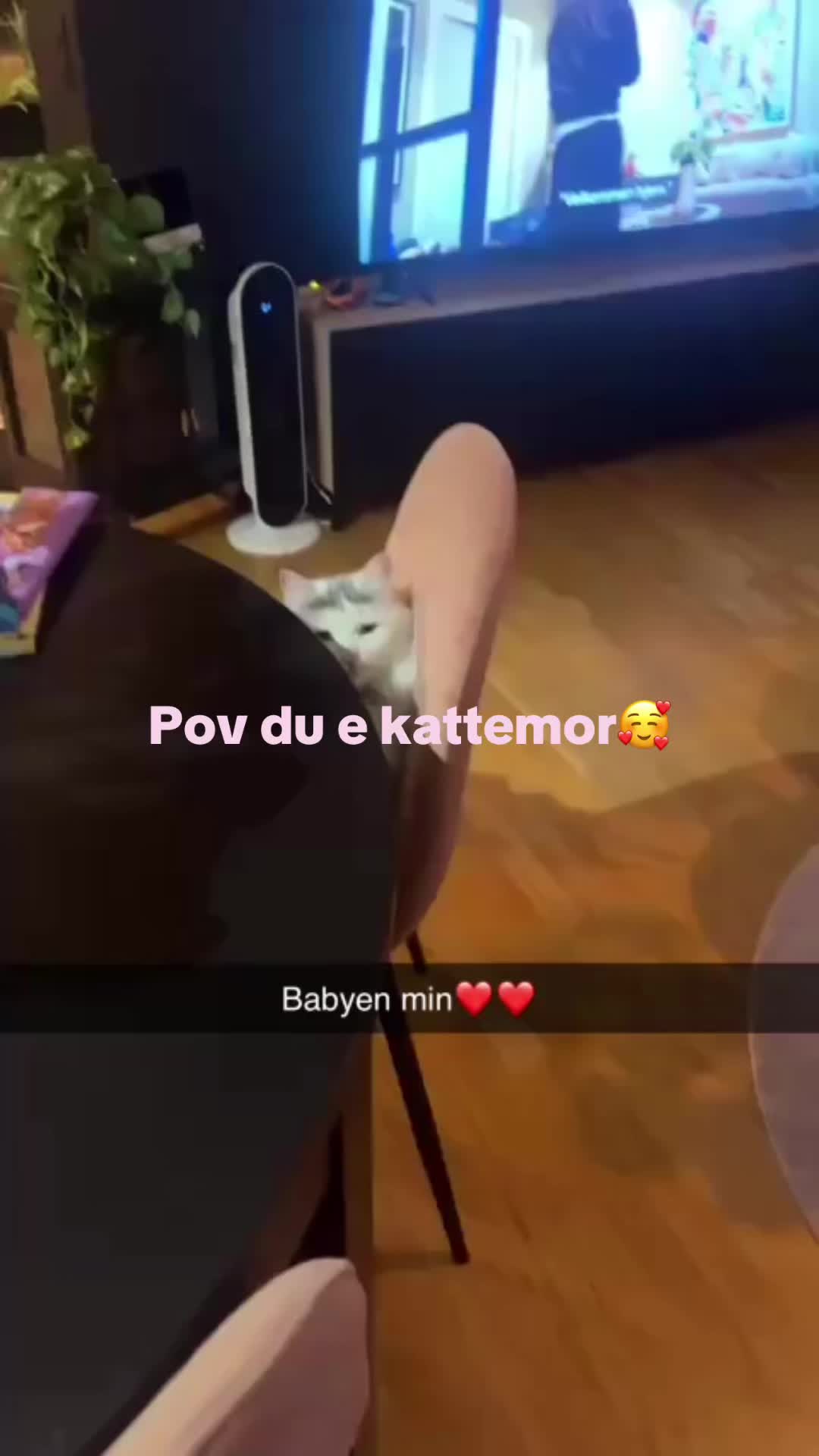 @Vilde Kristiansen