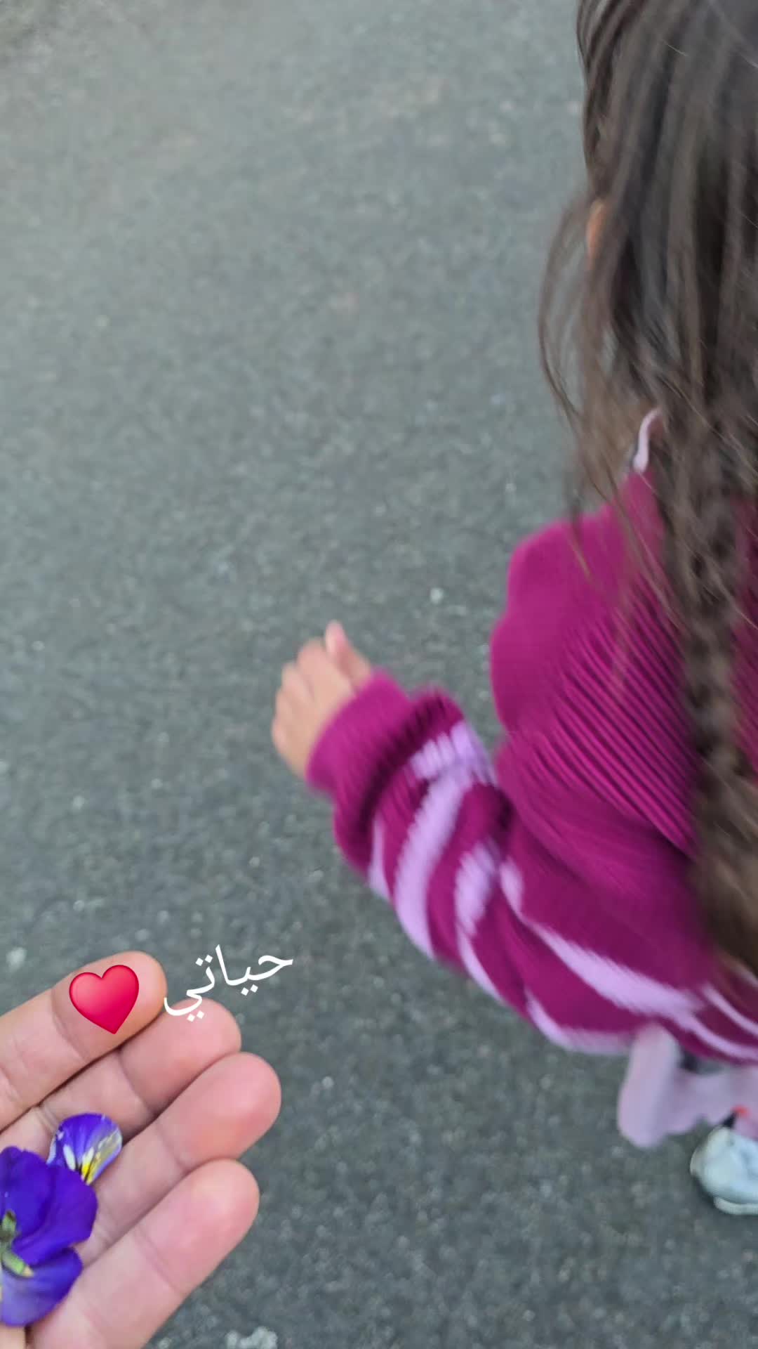 @Zahra زهرة بوها