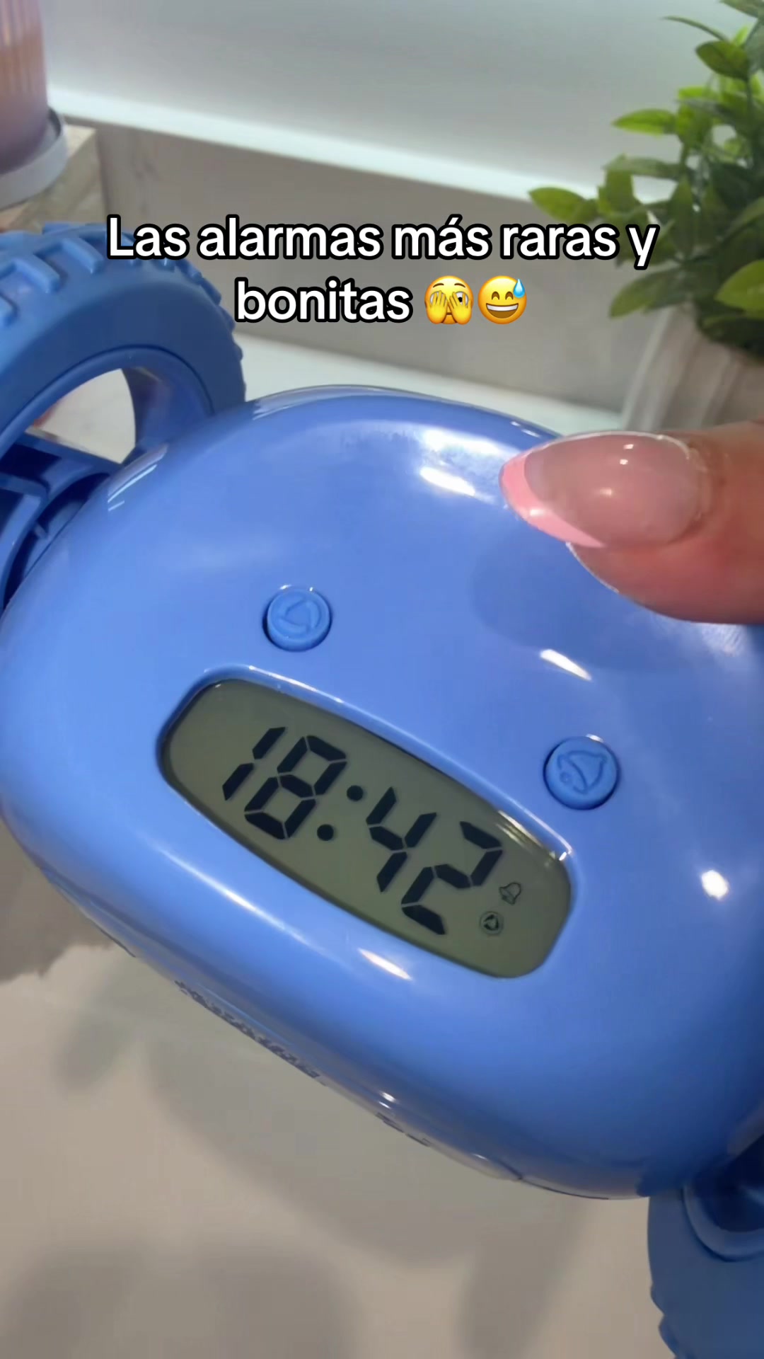 @alivalenciall