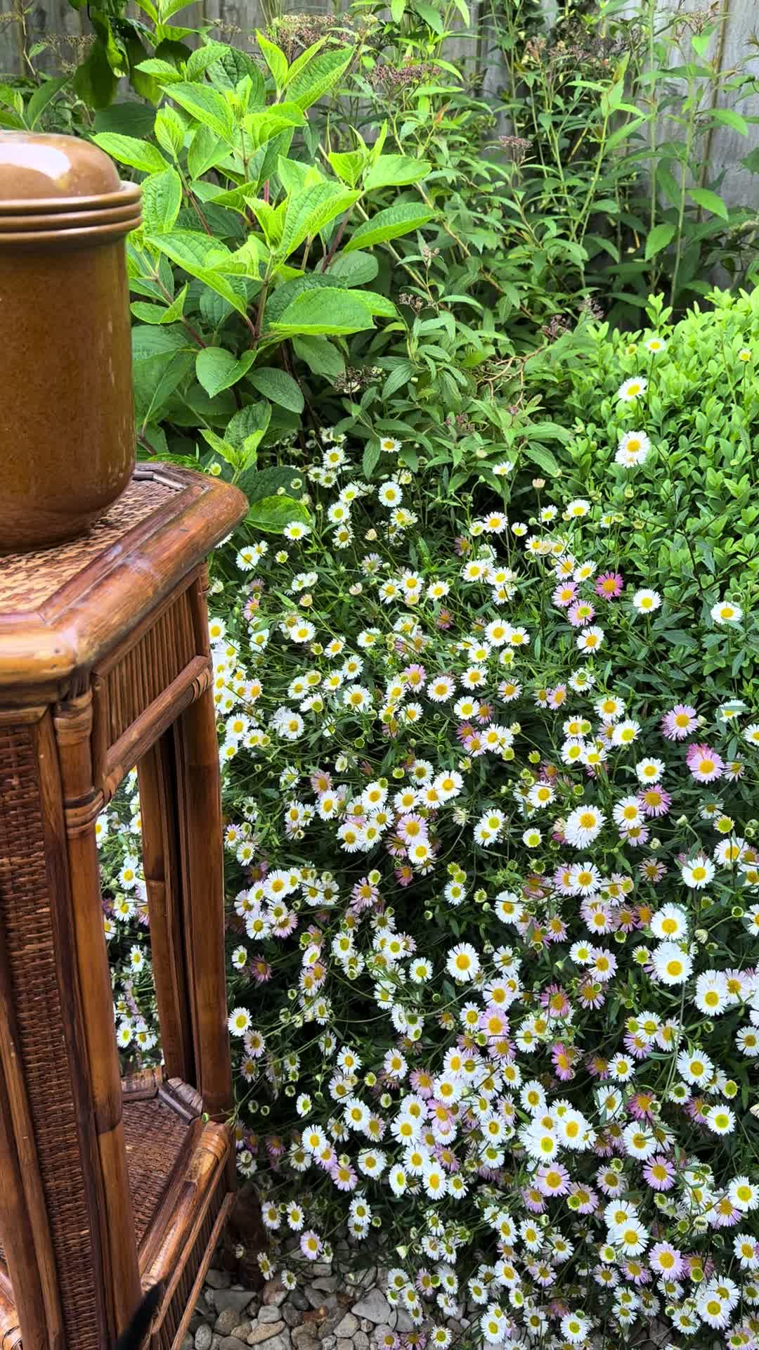 @Brookcottage