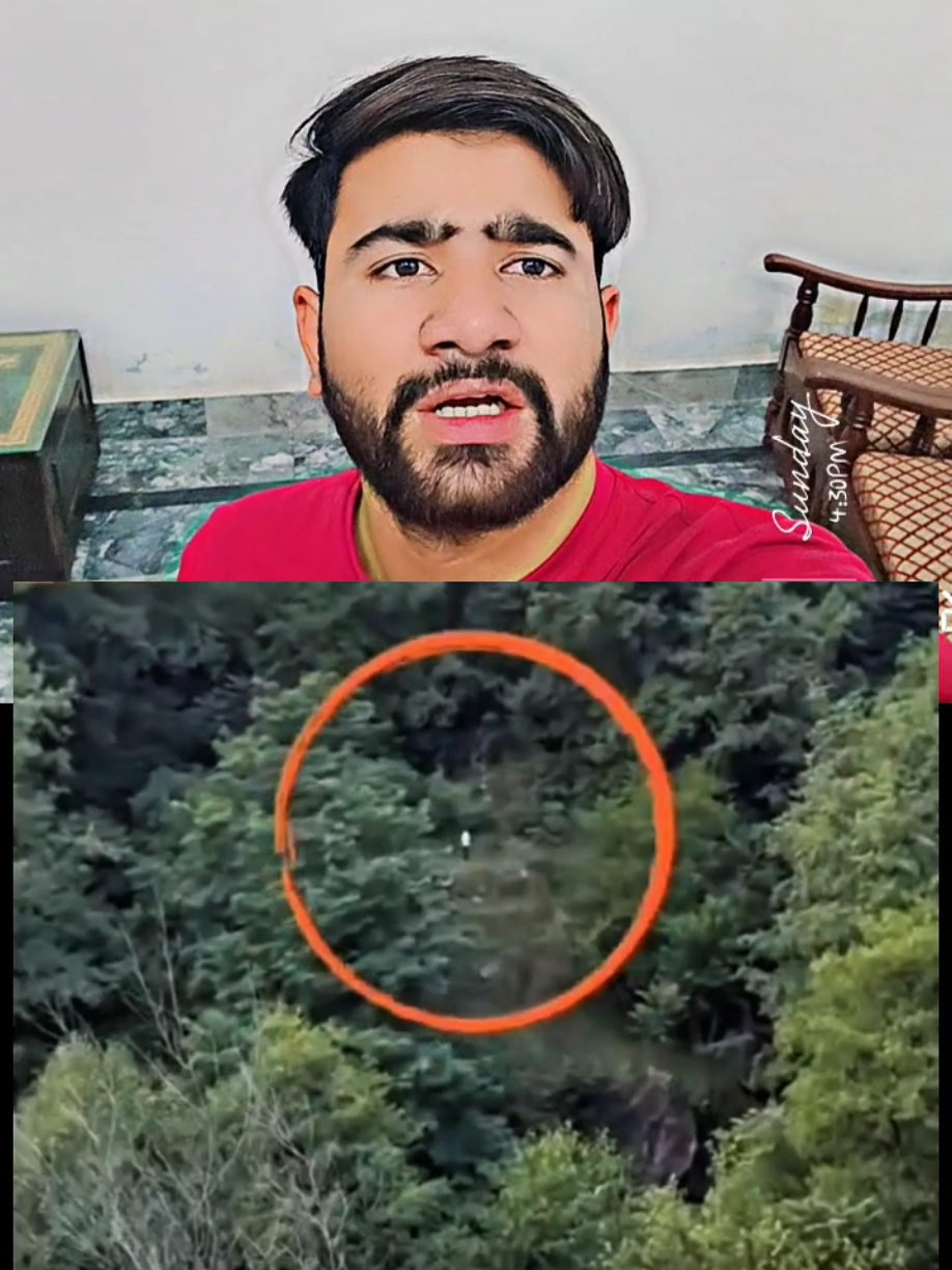 @manoreacts