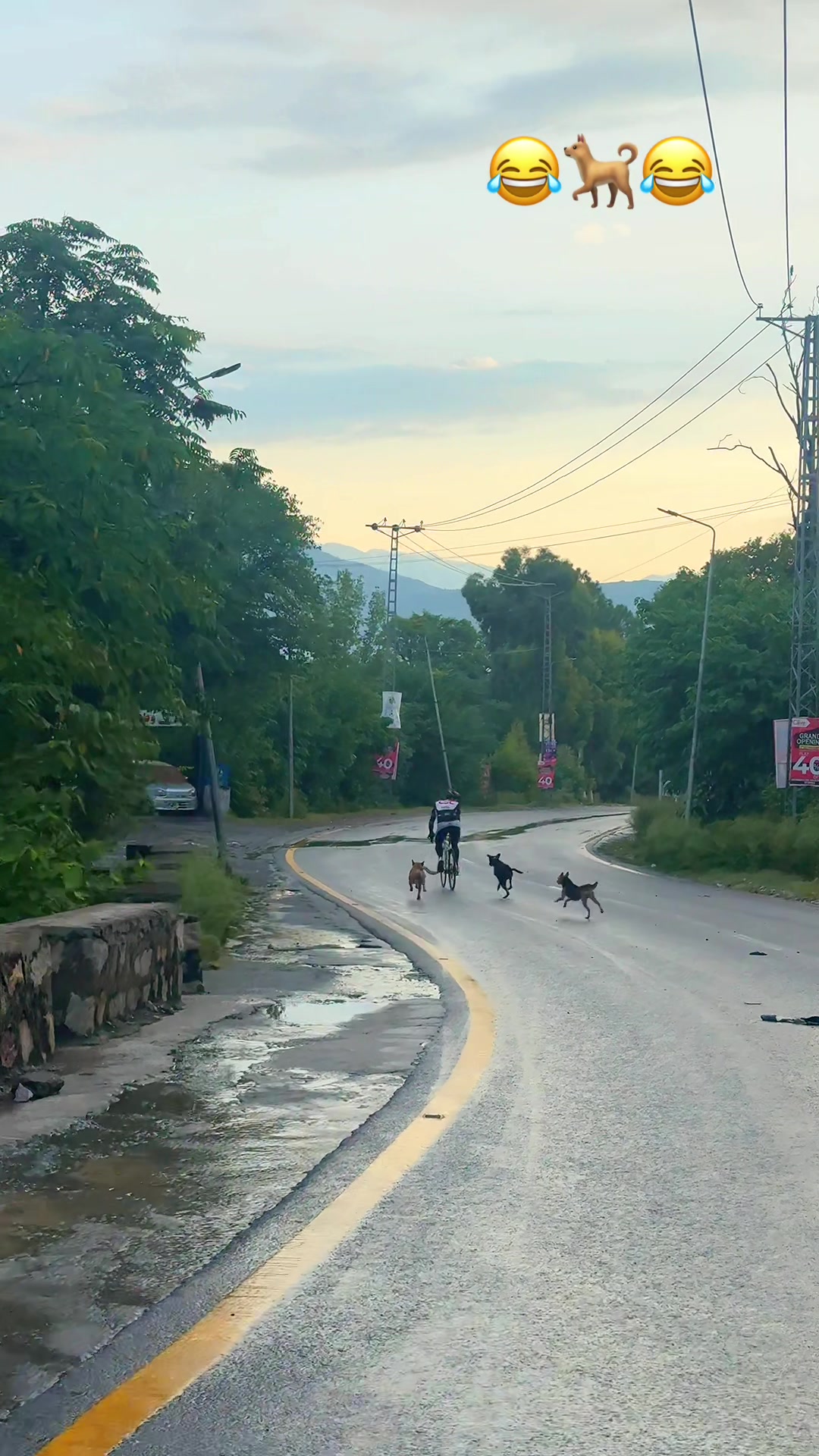 @Mobin jan cyclist