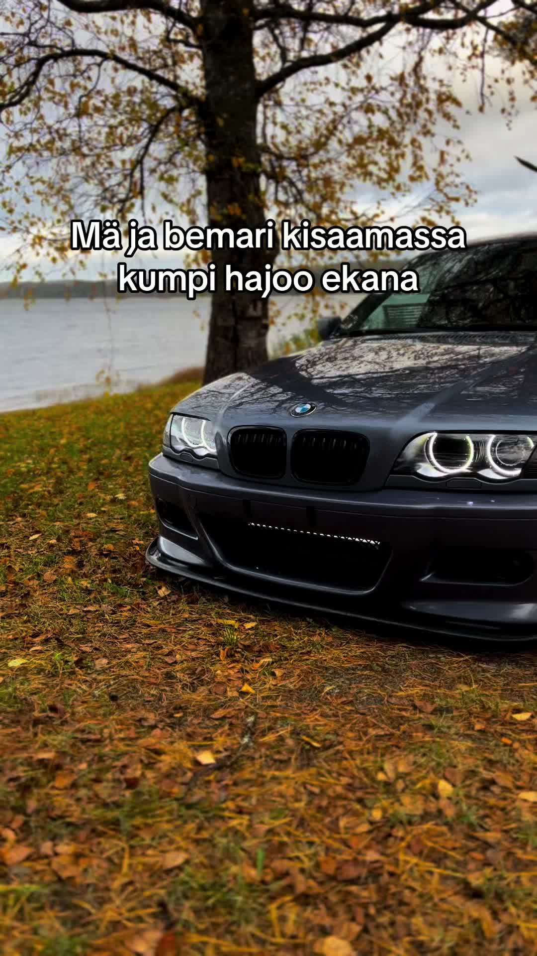 @niinivuo