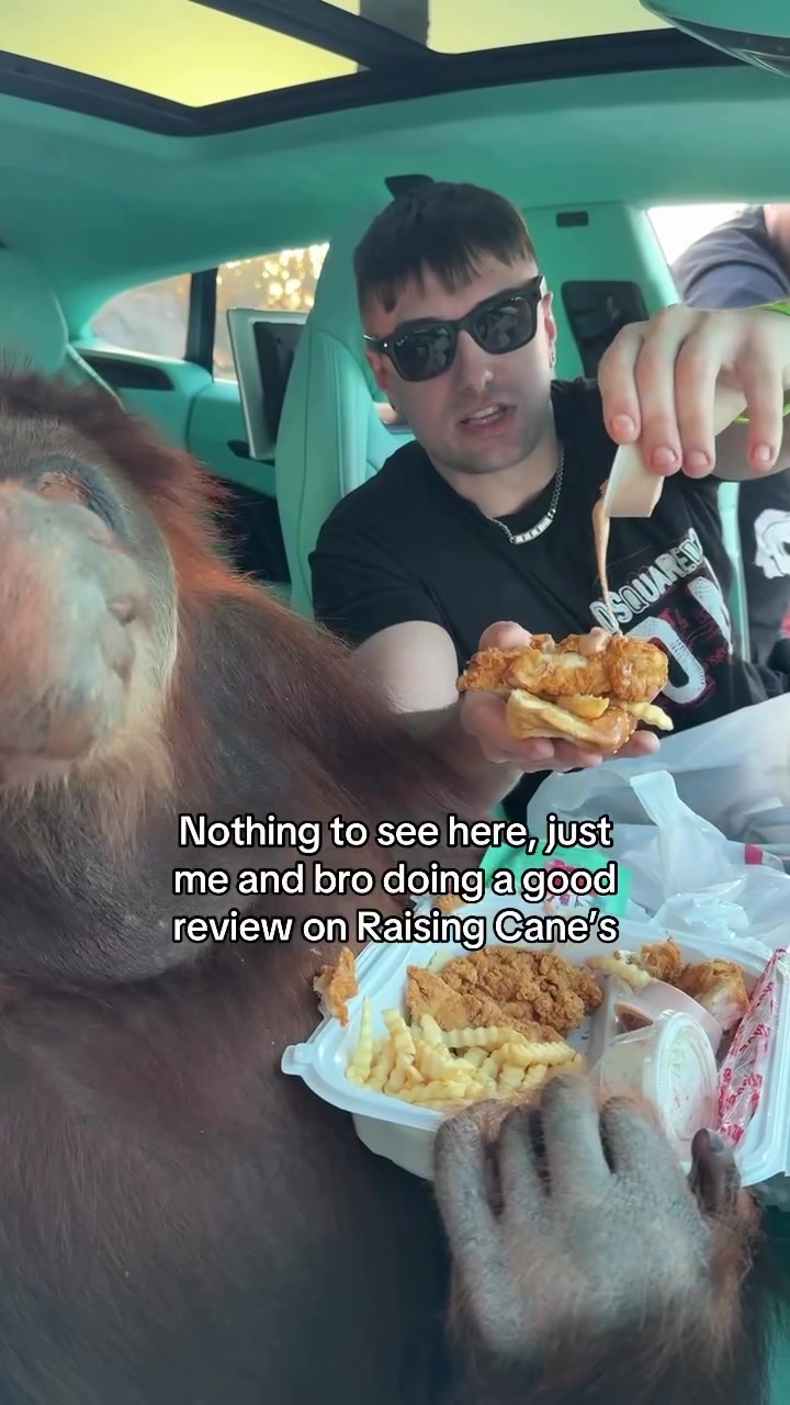 @Nasti