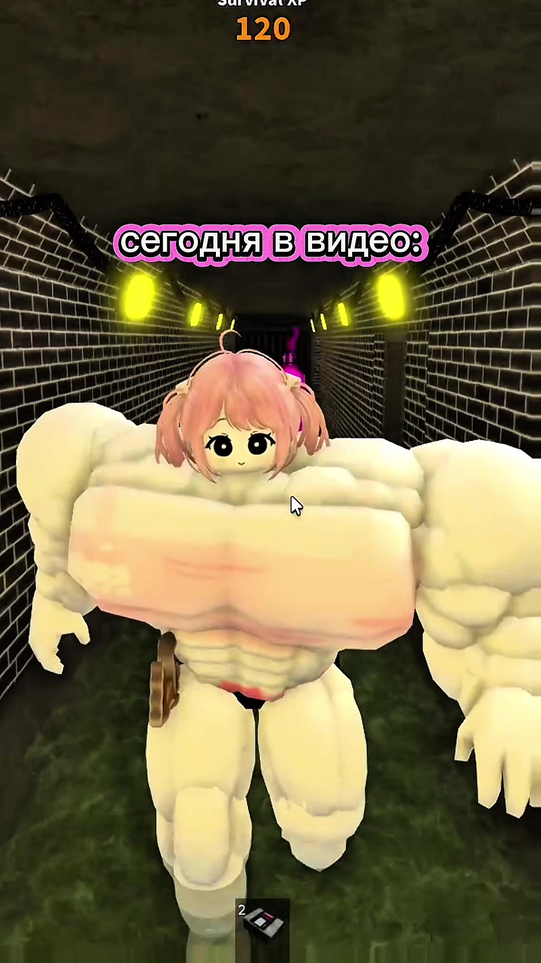 @mislankie