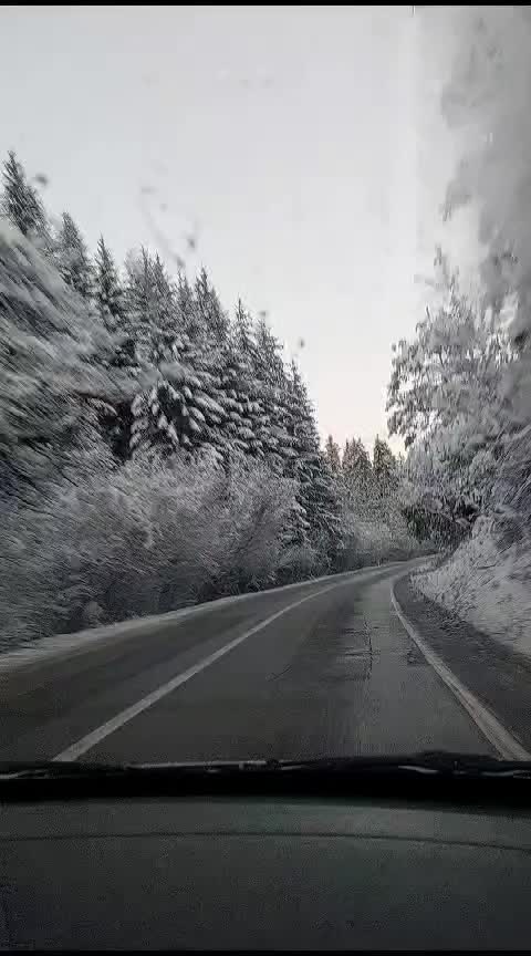 @vjazma1