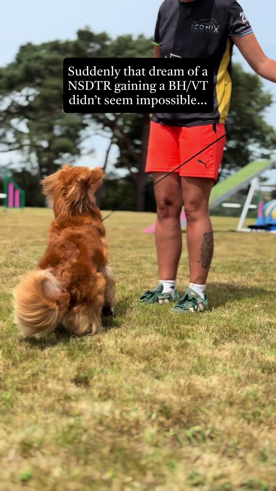 @Valleys Dog Training