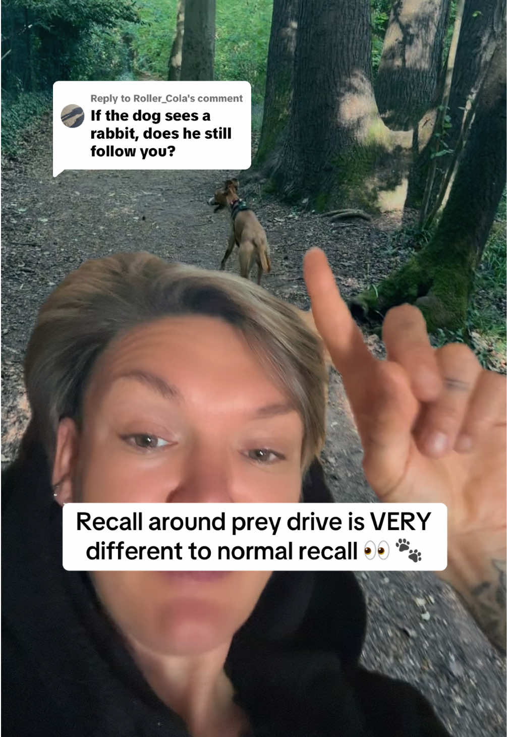 @Sam and her whippet