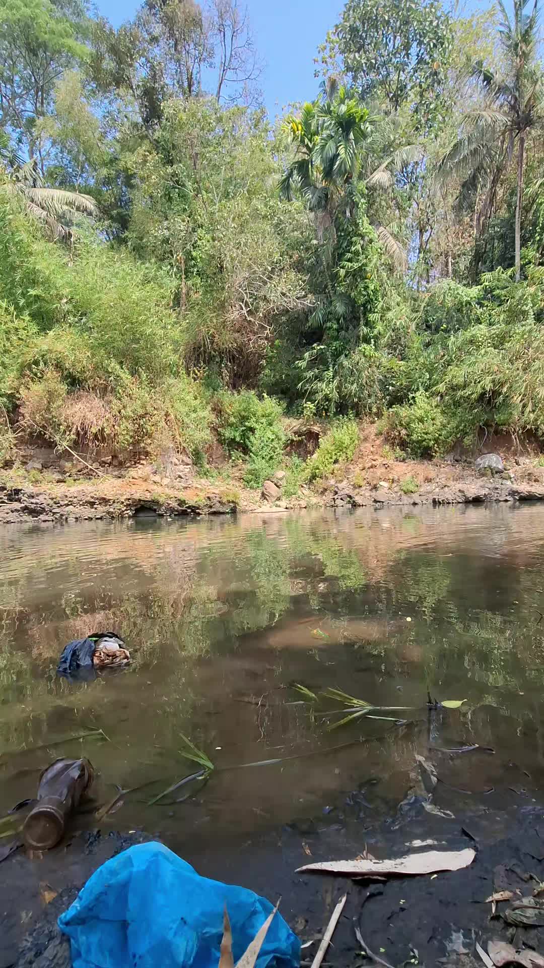 @Gasle Fishing
