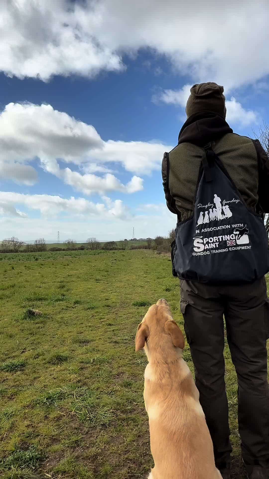 @slingleygundogs