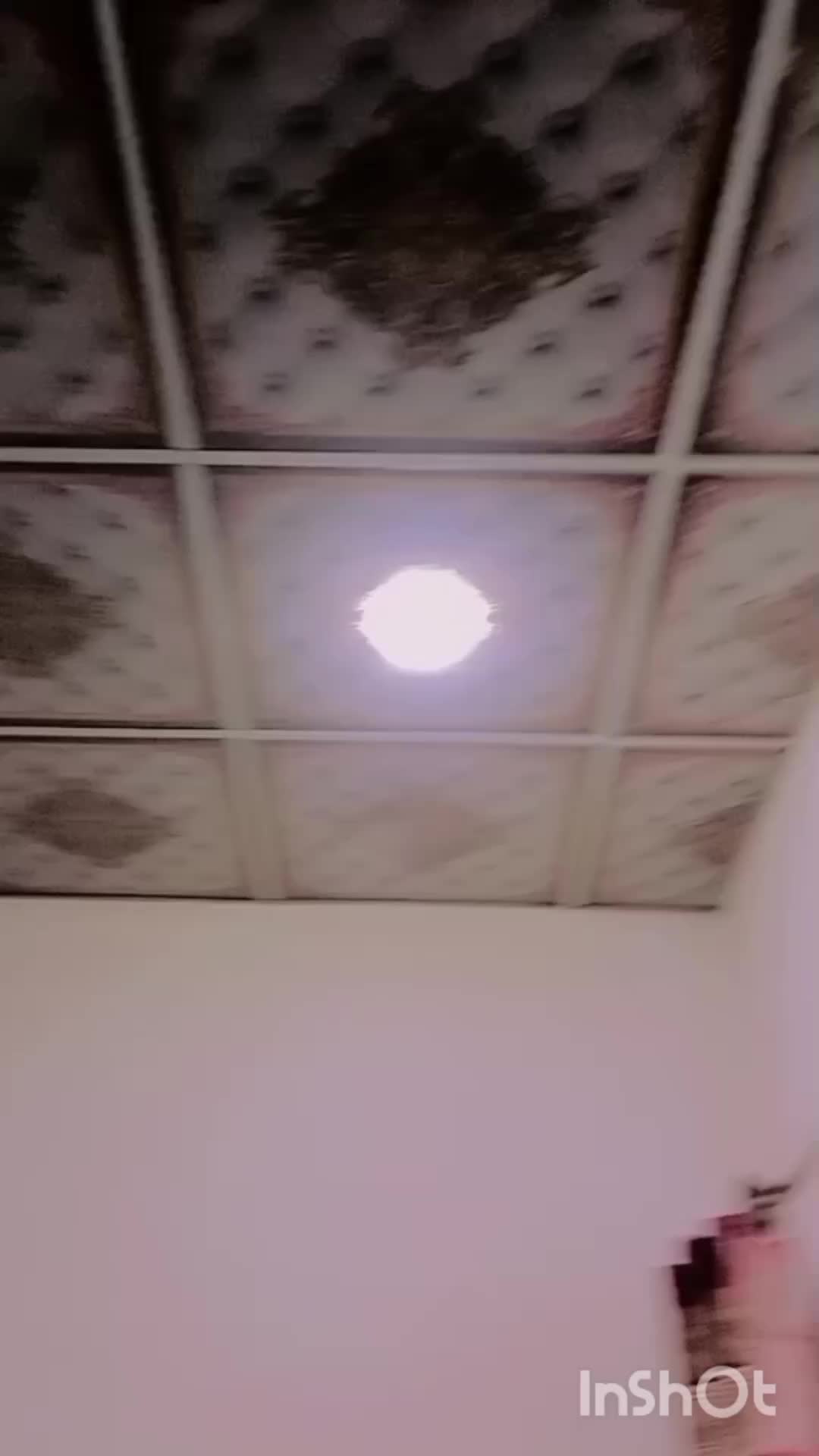 @rananabeel766