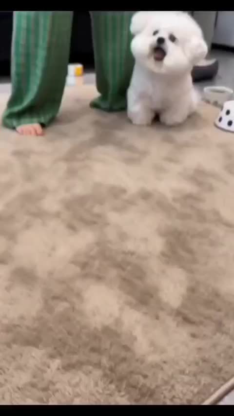 @波塞冬J.L