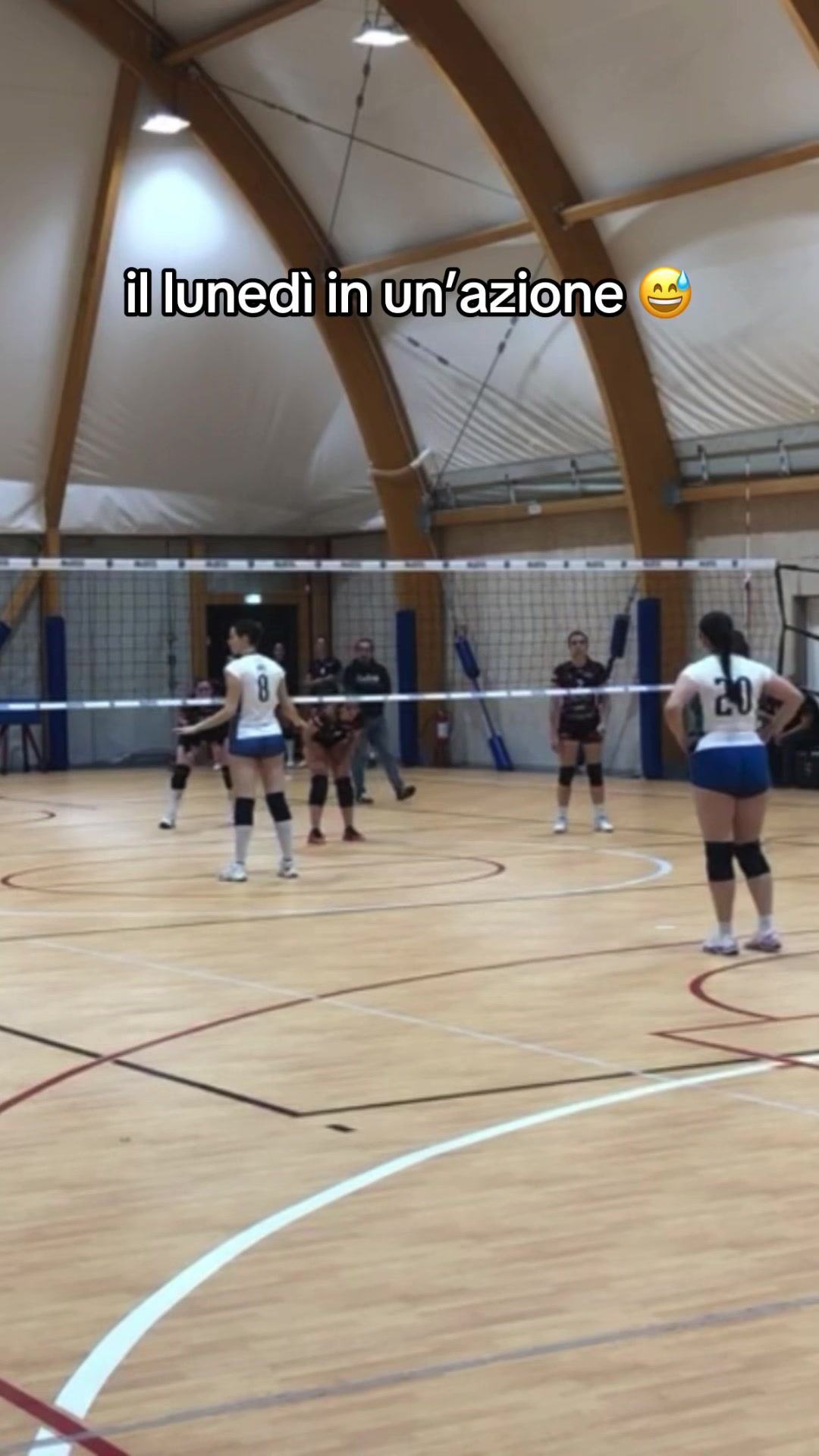 @Majestic Volley