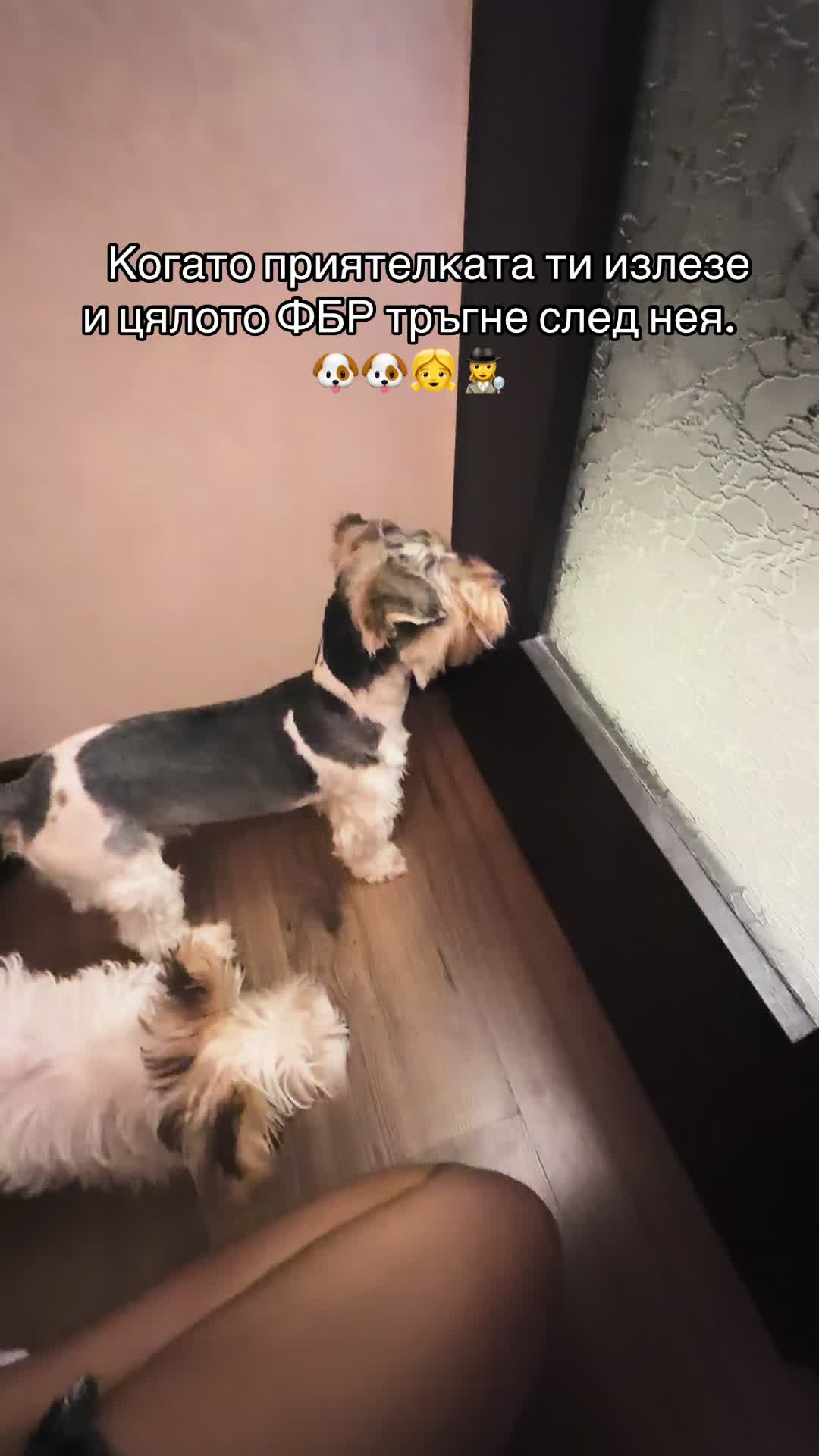 @🥀Desi🥀