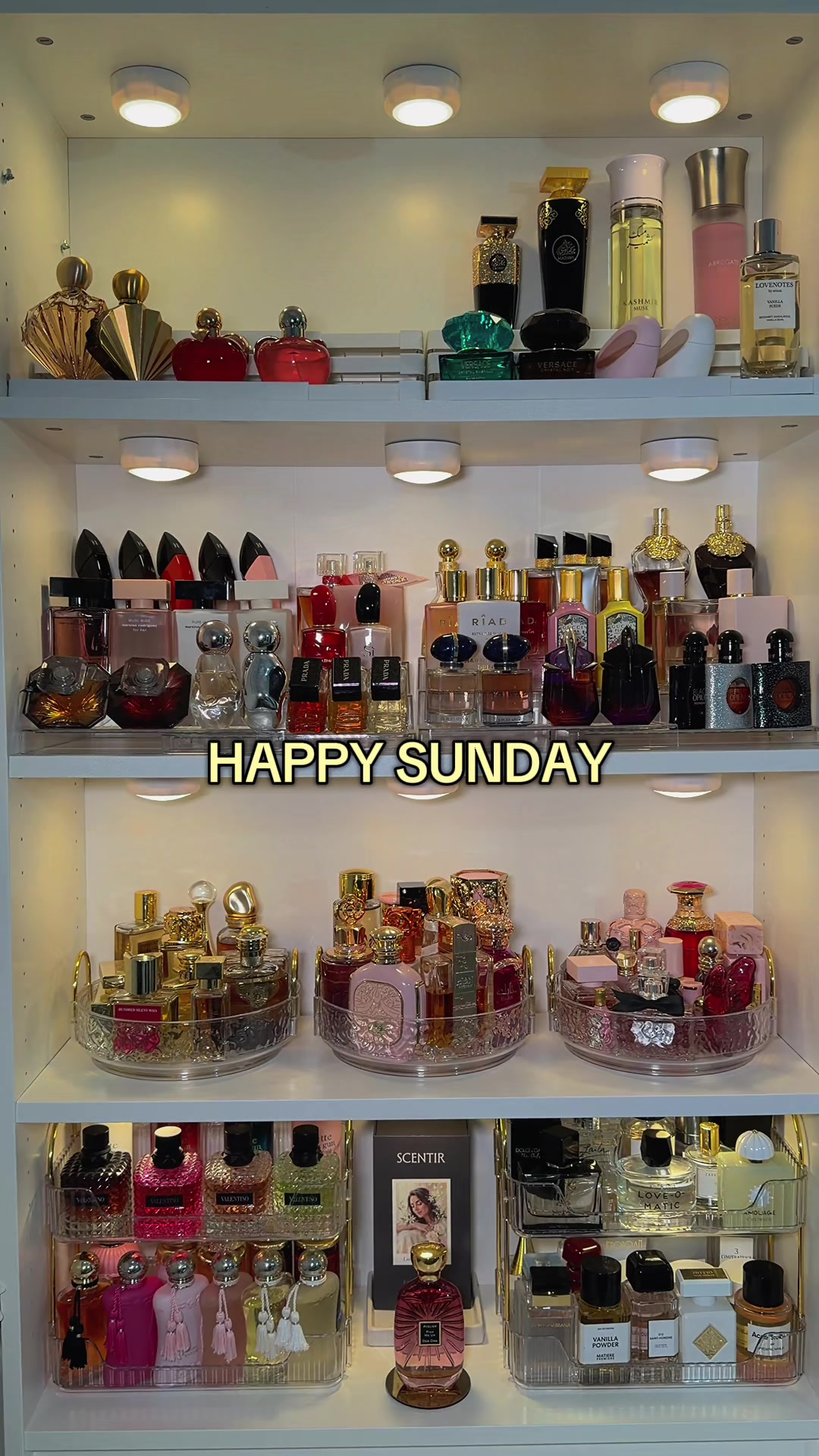 @Lolo ♡ | Perfume Diary