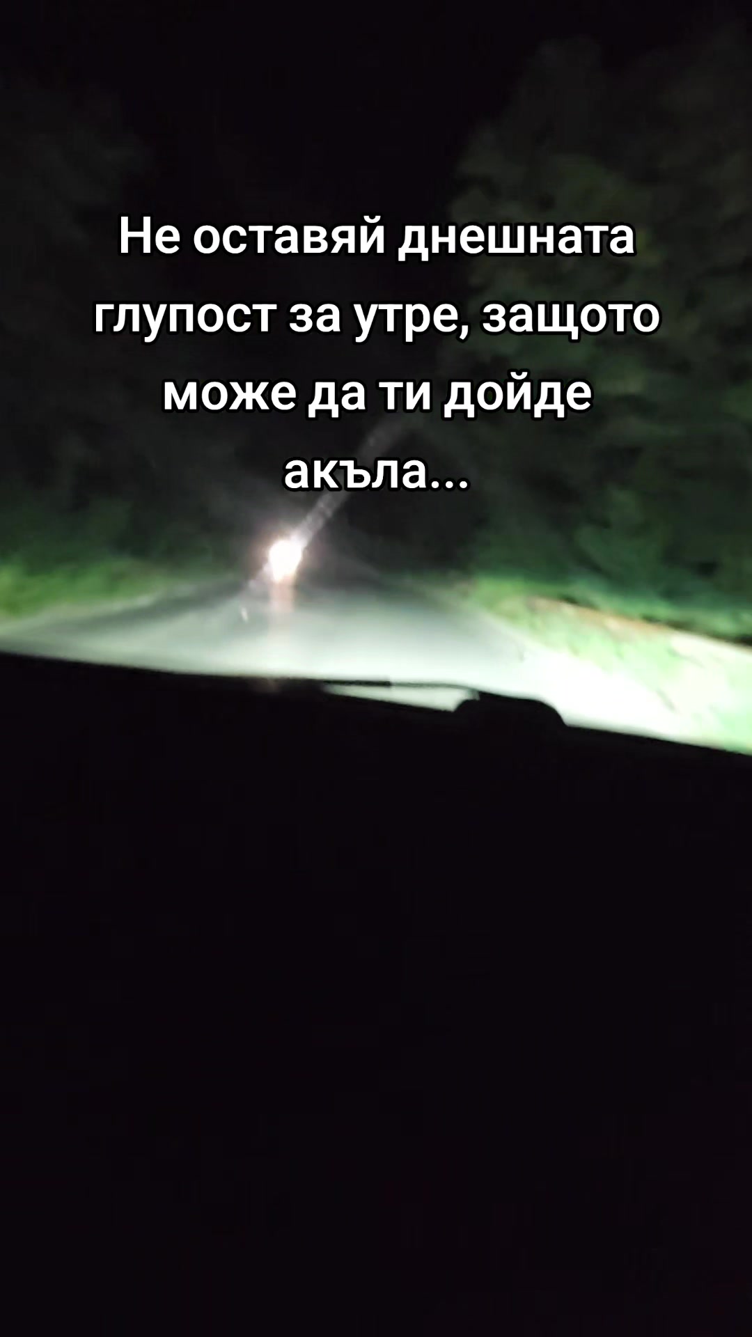 @꧁ঔৣ༒𝔐8𝔏1༒ঔৣ꧂