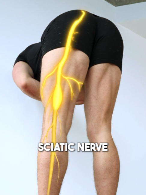 @Recover Pain