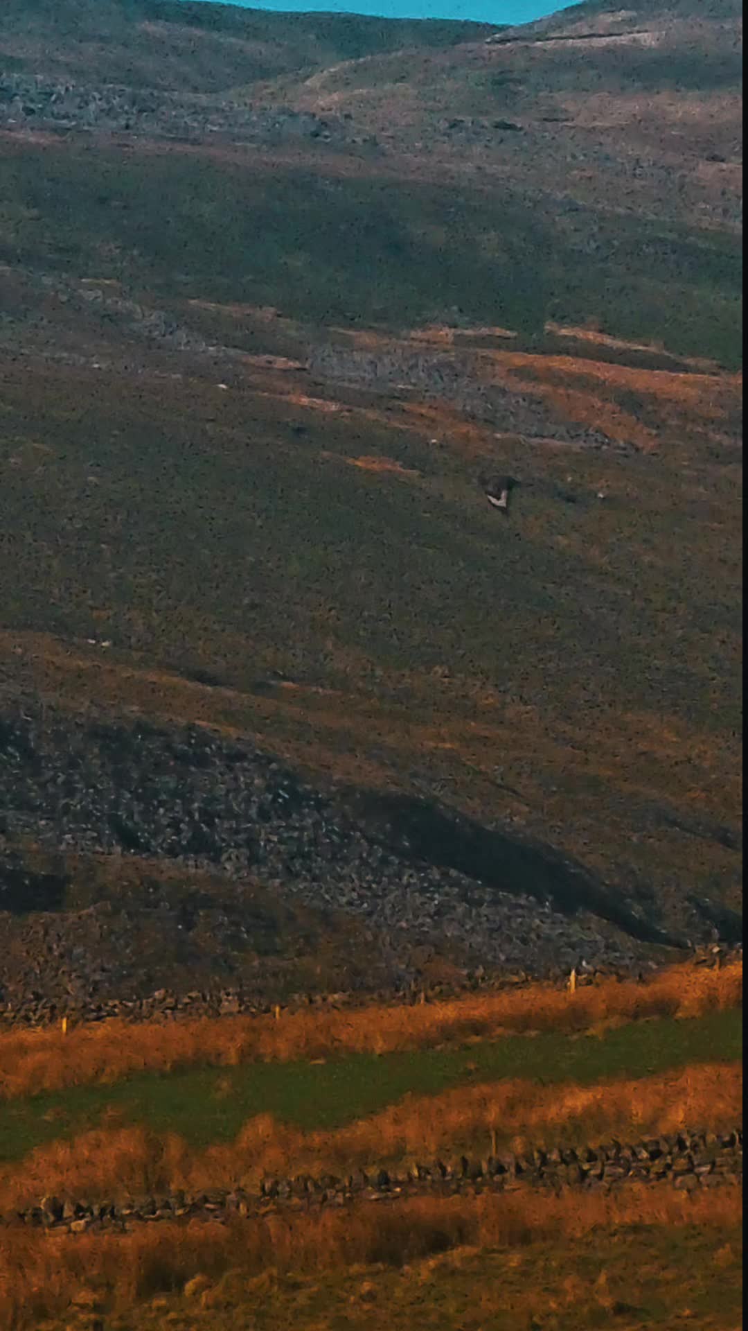 @Northern Wayfarer