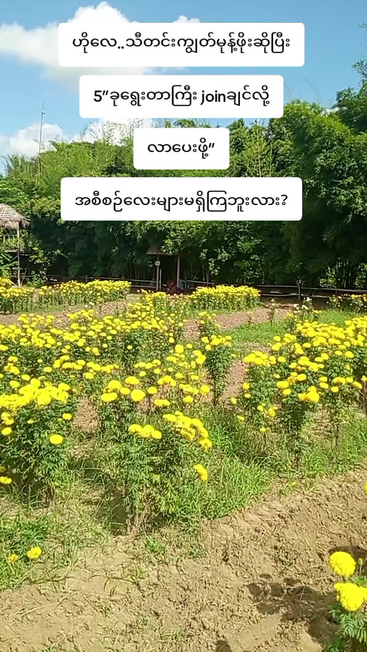 @Htet Htet Moe(HHM)