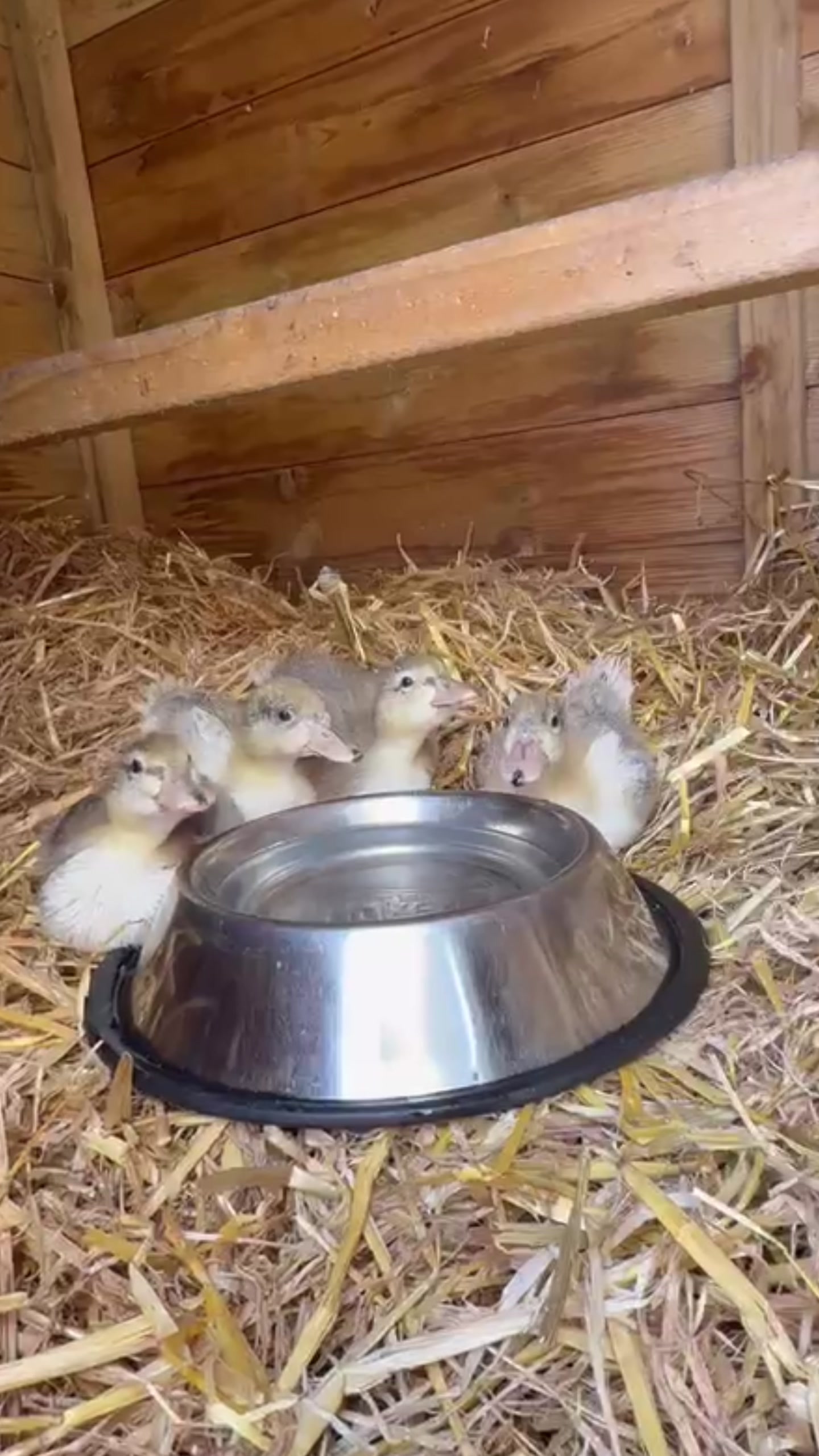 @itsthatfarmguy