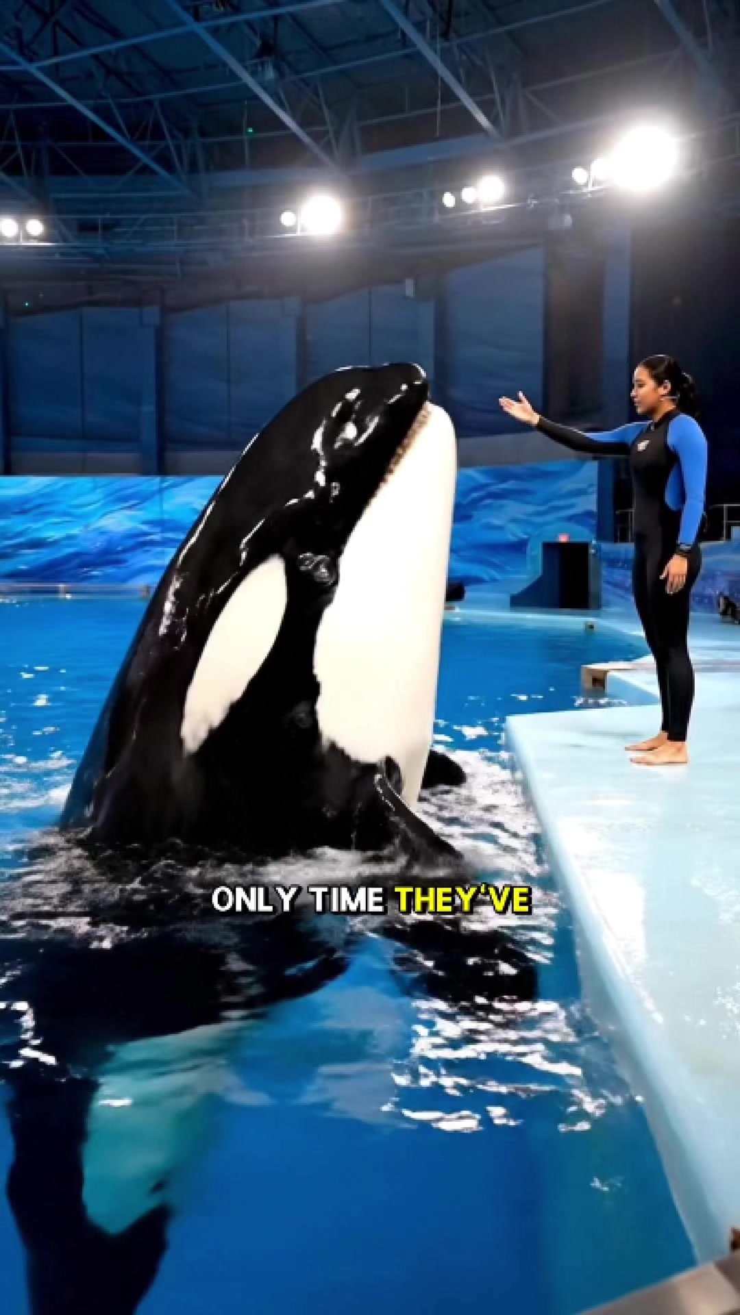 @JRE AnimalRants