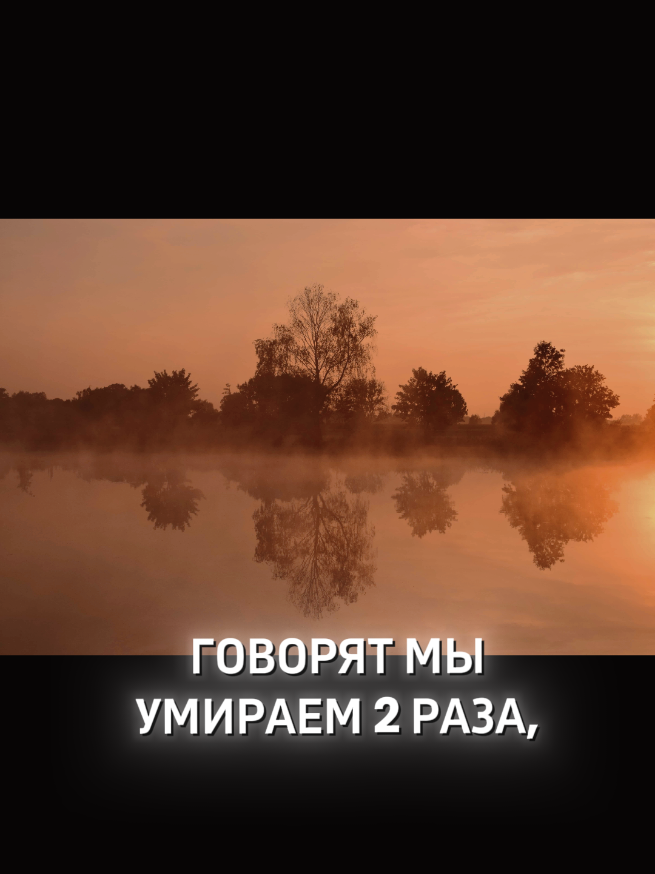 @🇲🇩 pogursky_001 ✅️
