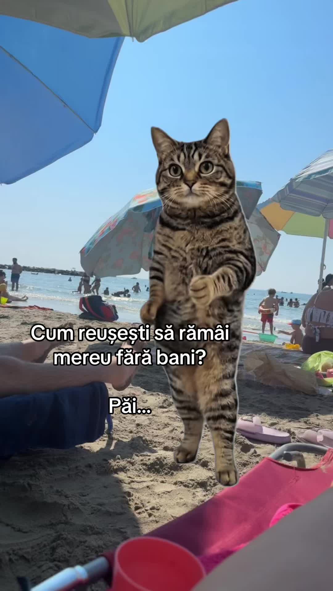 @mirela.raileanu