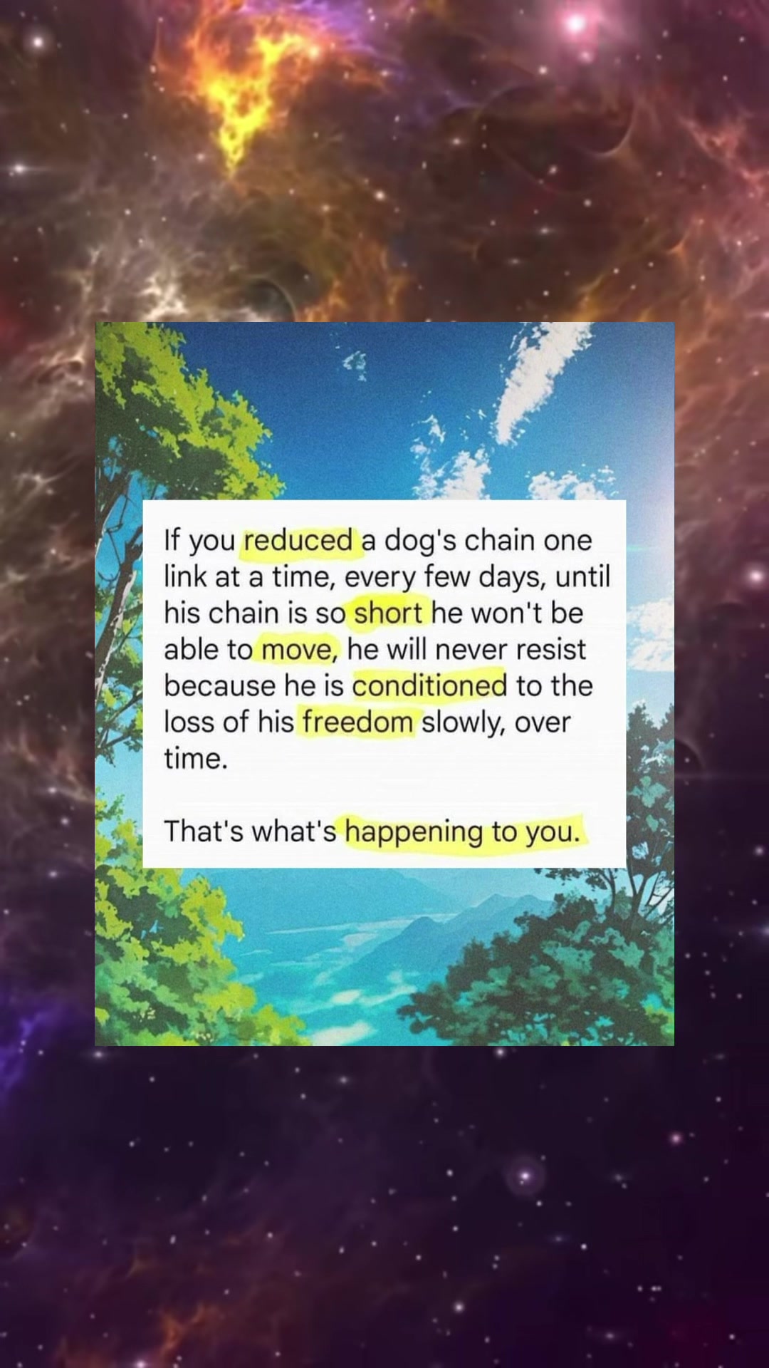 @jack_hollywood_2021