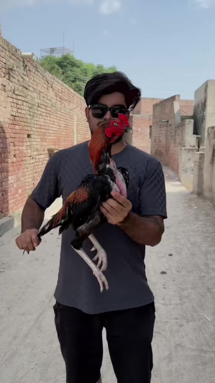 @🇹🇷الیاس بھٹی🇵🇰