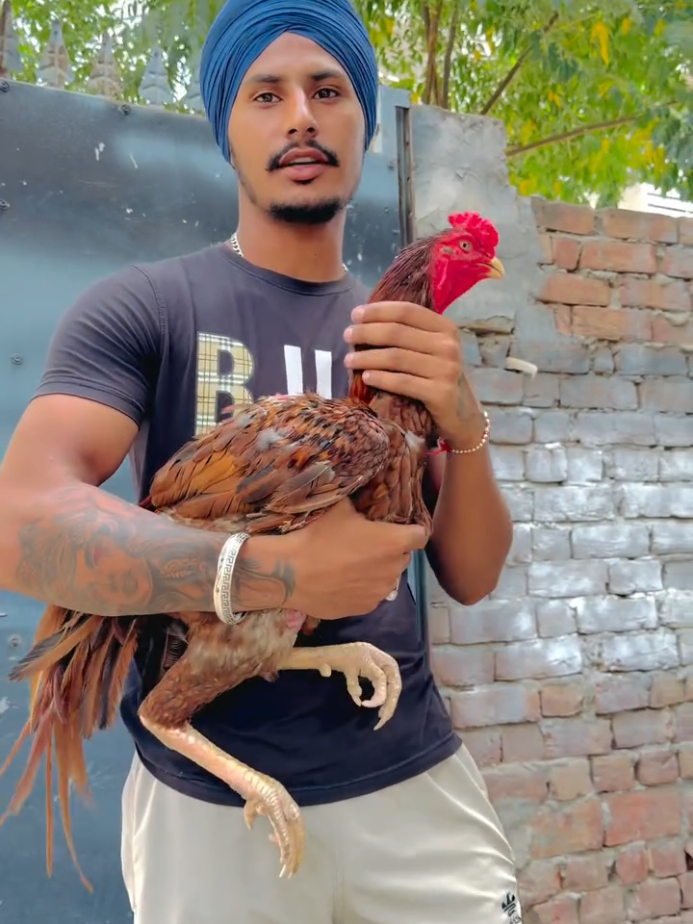 @Harinder Rajput 🇮🇳